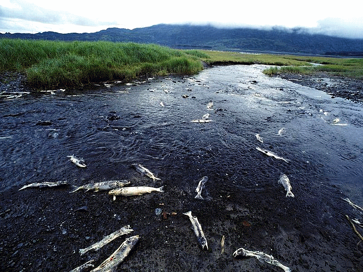 water_pollution_sustainable_development_potable_trinkwasser_africa_india_bengladesh_desert_drought_scheresse